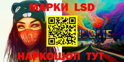 шишки Гатчина