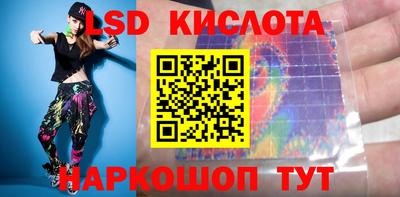 шишки Гатчина