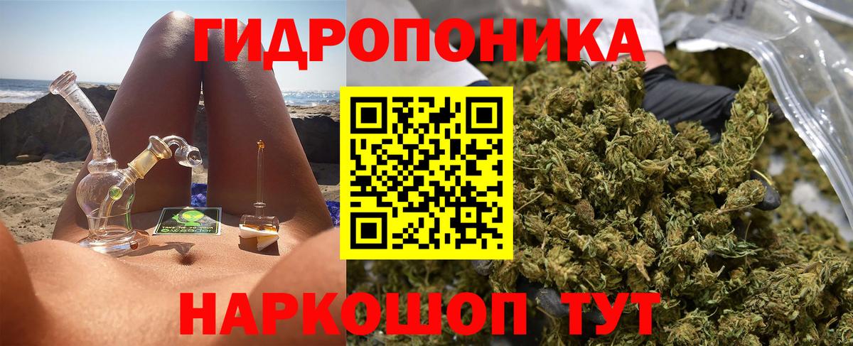 Бошки Шишки сатива Канаш